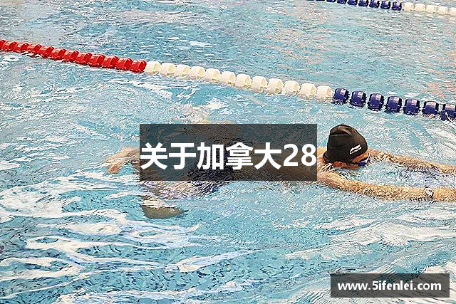 关于加拿大28